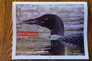 Loon Calendar 2025